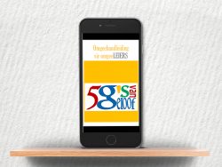 EB-Die 5 G's van Geloof - Leiersgids eBoek