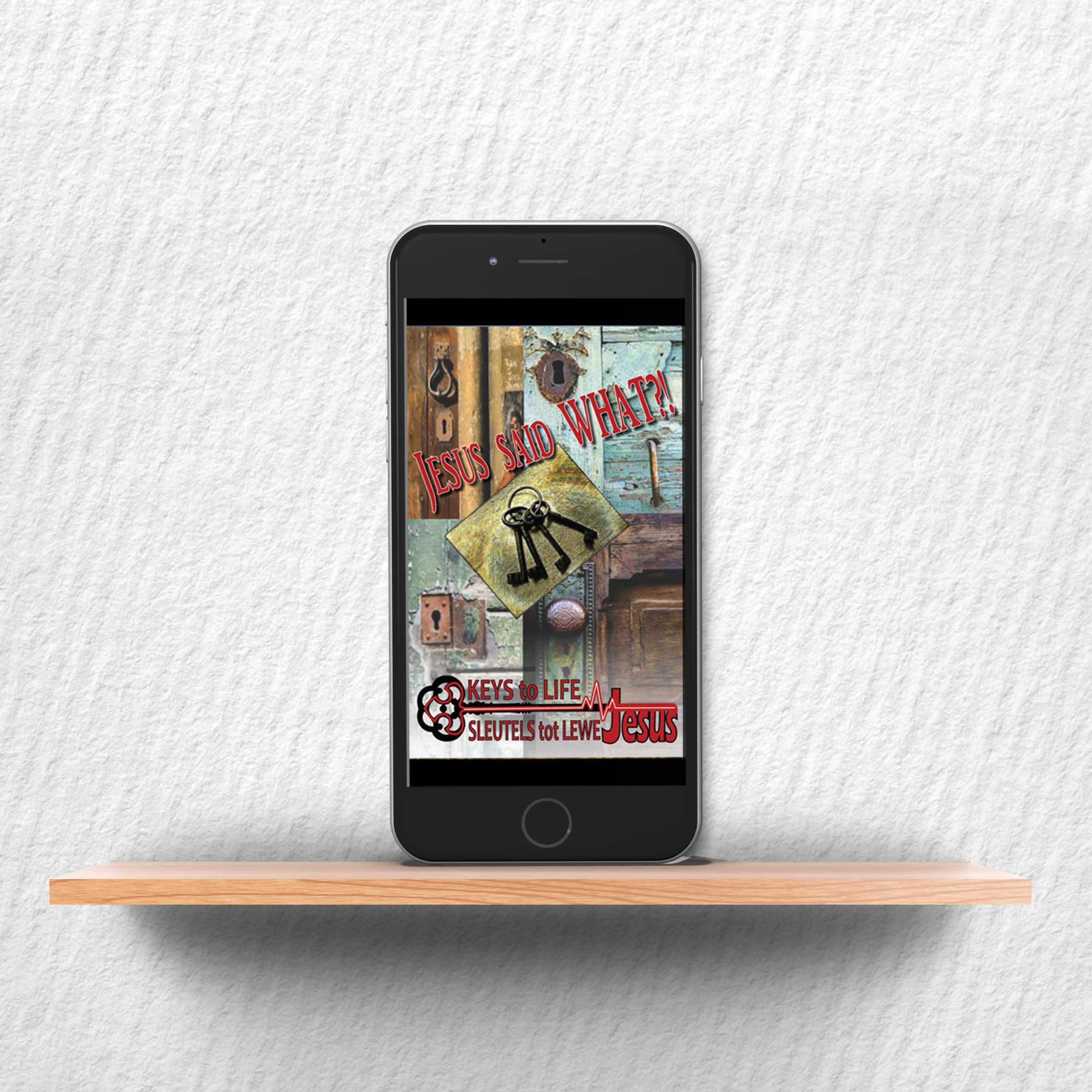 EB-Jesus said What? eBook