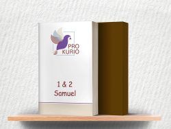 1 & 2 Samuel Bybelstudies